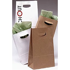Square Bottom Paper Bag w/Die Cut Handles (8 1/4"x4"x13 5/8")