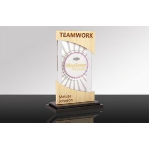 TRANSCEND: EcoEdge Acrylic & Metal Bamboo Desk Award (5½" x 8¼" x 3")
