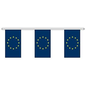 60' Council of Europe International Collection Display Flag