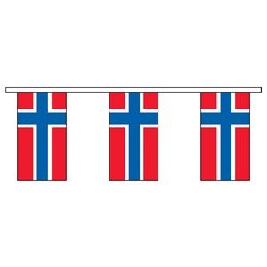 Norway International Collection Display Flag (30')