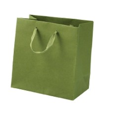 Natural Kraft Brown Mini Cub Recycled Paper Eurotote Bag