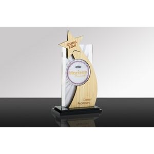 TRANSCEND: EcoEdge Acrylic & Metal Bamboo Desk Award